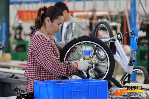 高清组图丨河北广宗 自行车童车俏销海内外，传统制造焕发新活力